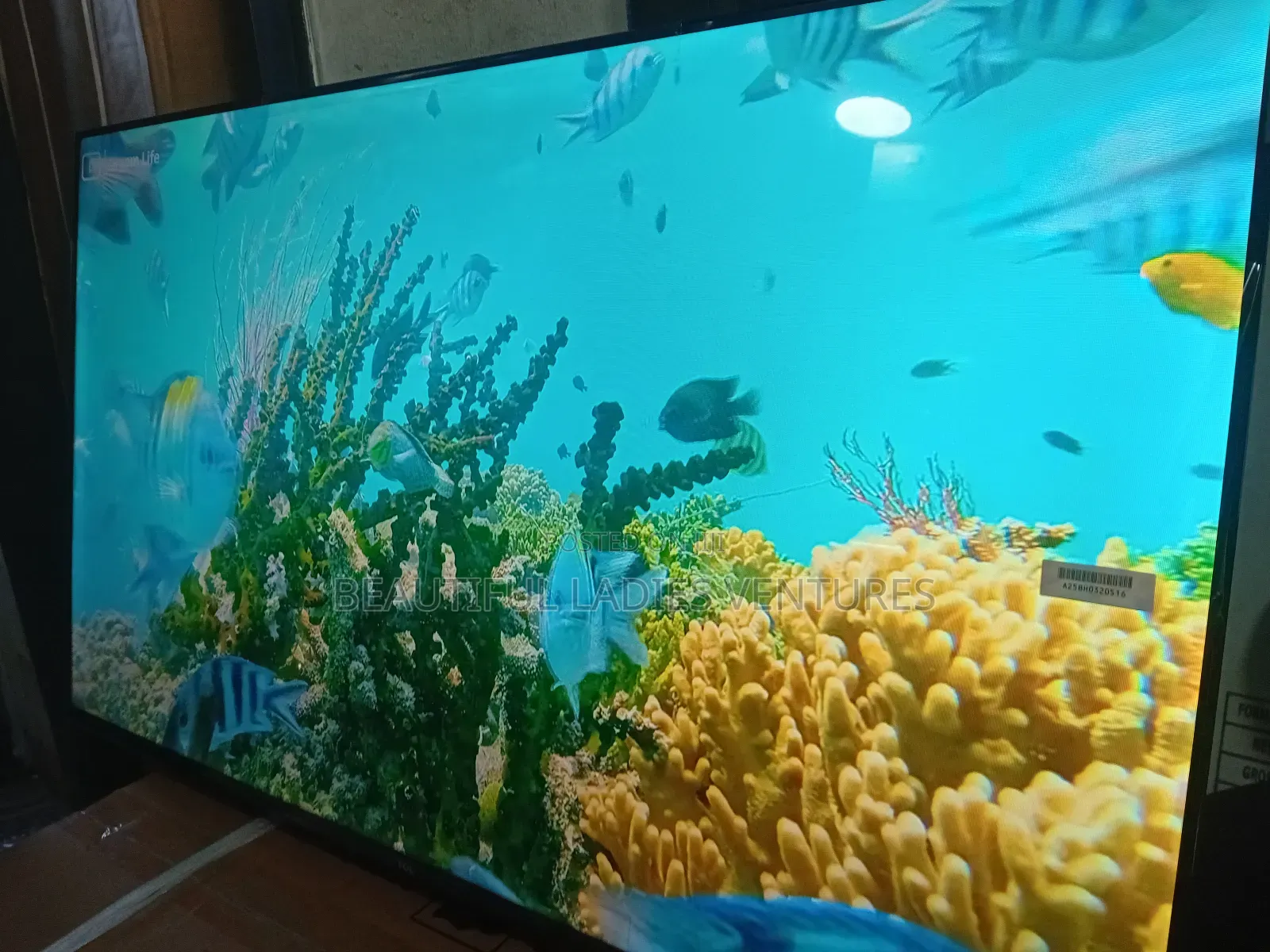TCL 43-Inch Led Tv – Affordable Luxury Viewing