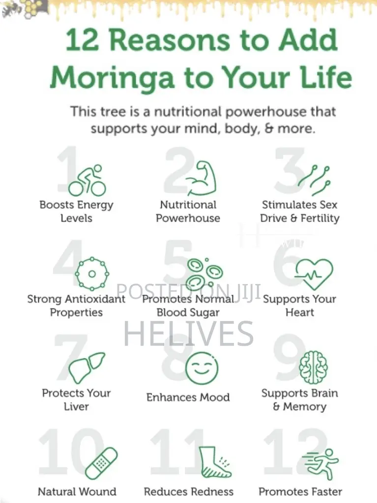 Raw Moringa Tea | Pure Organic Tea Bag Helives Fda Certified Approved