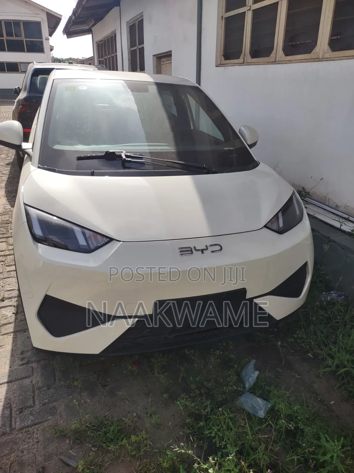 New BYD Seagull 2025 White