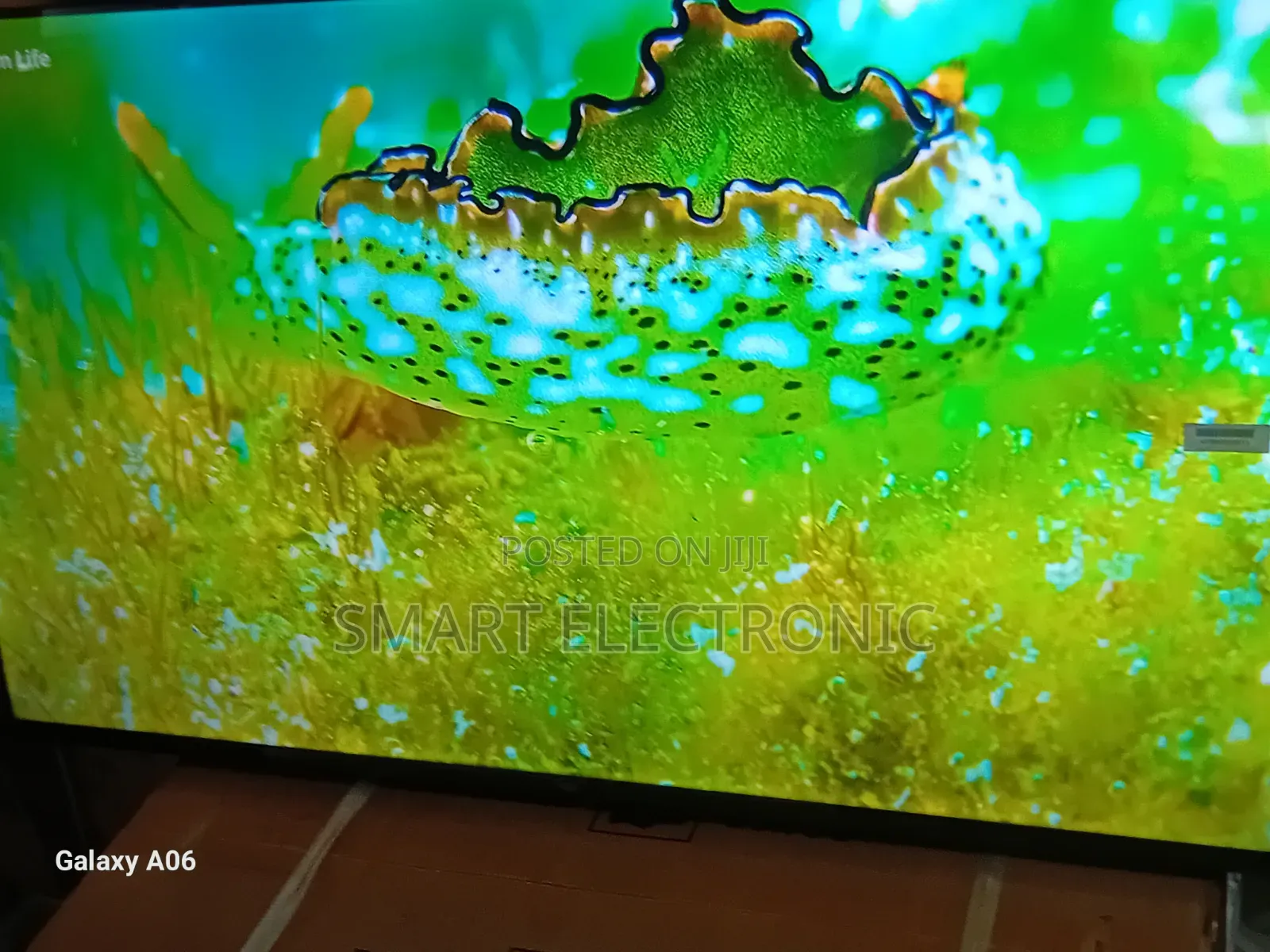 TCL 43-Inch Tv – Designed for Comfort Viewing