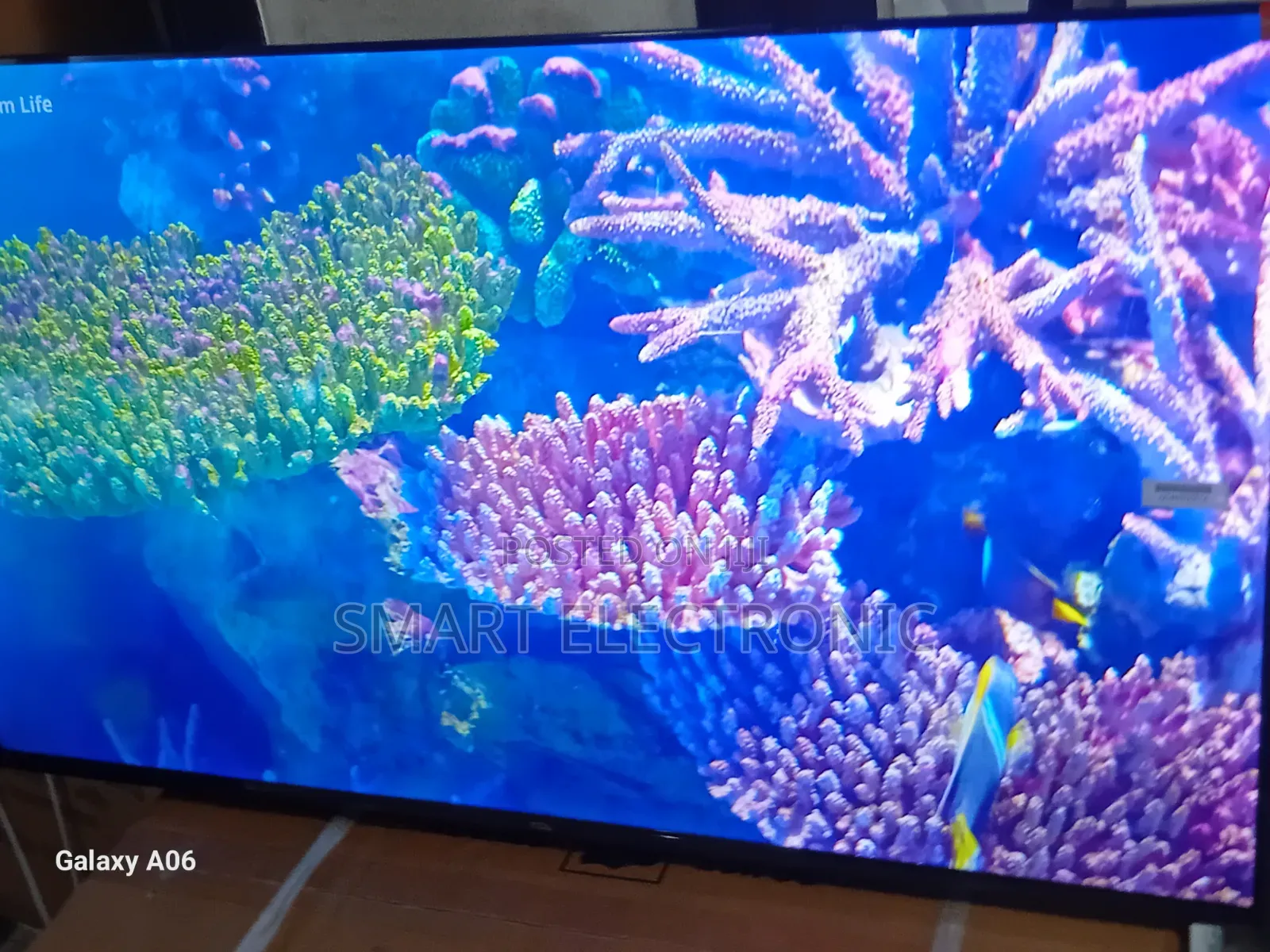 TCL 43-Inch Smart Tv – Bright, Clear Smart