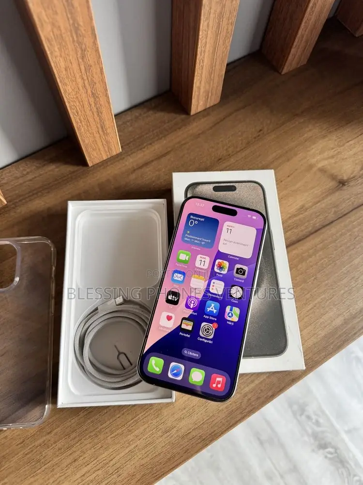 Apple iPhone 15 Pro Max 256 GB Silver