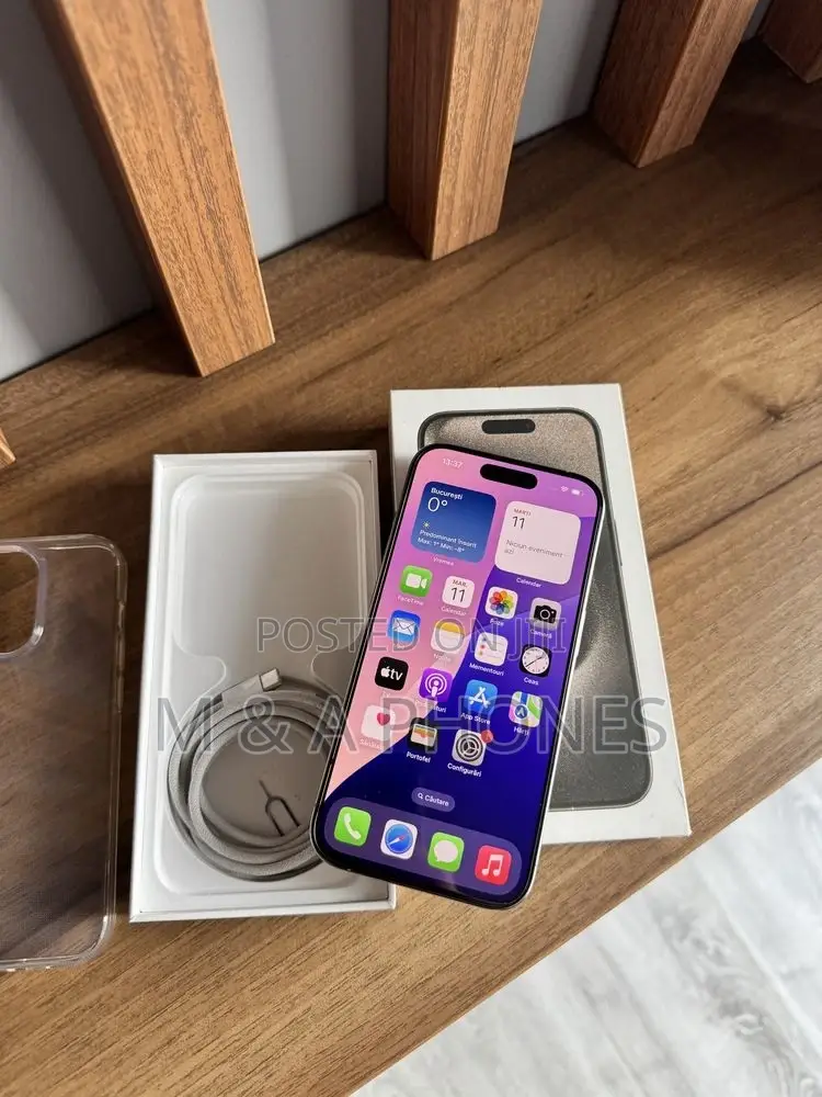 Apple iPhone 15 Pro Max 256 GB Silver