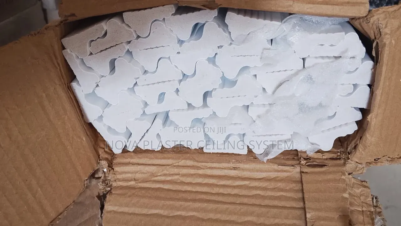 Styrofoam Wall Moulding