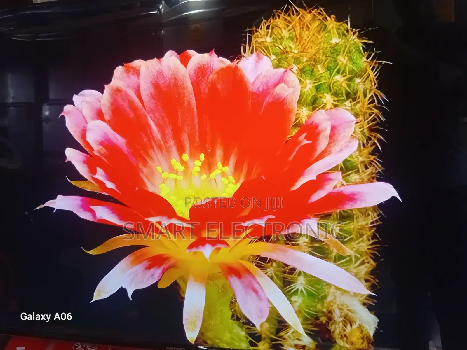 Asano 50" Smart Tv – Home Theater Experience Redefined