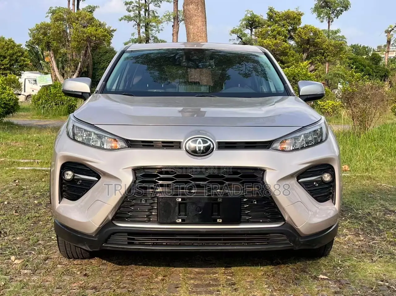 Toyota RAV4 Adventure 2021 Beige
