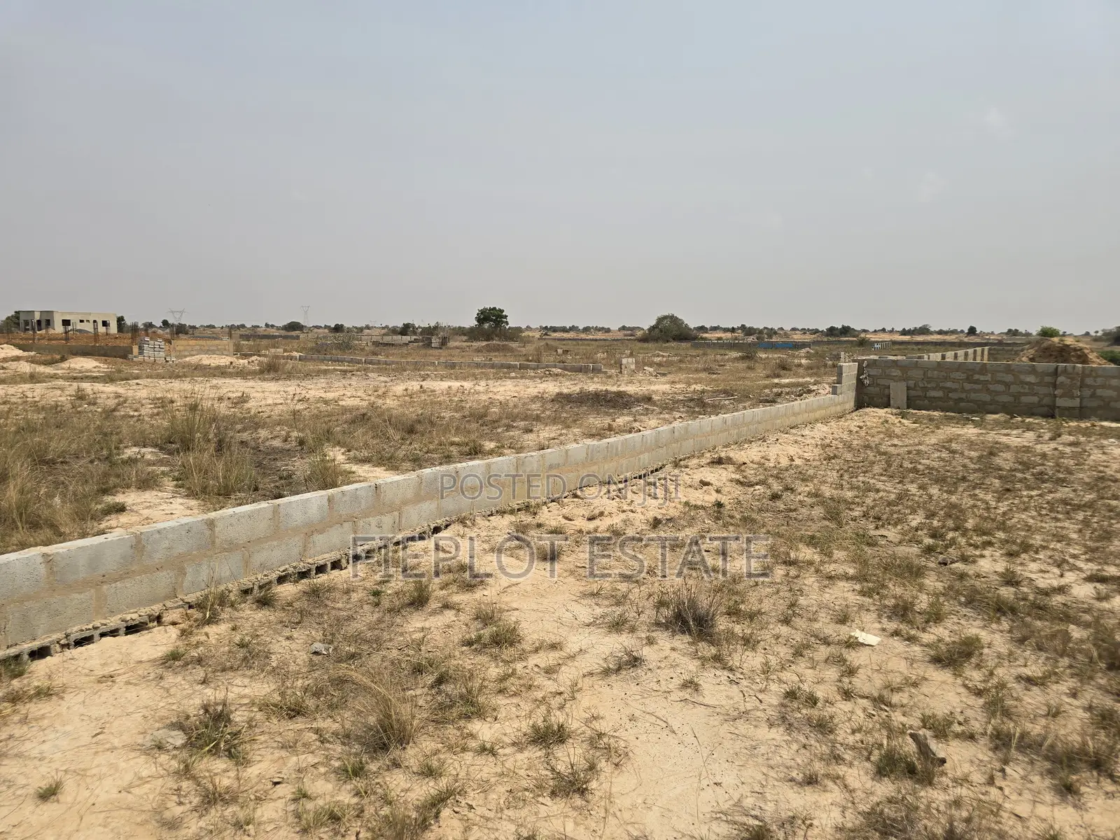 Affordable Half Plots With Client Support Packages at Tsopoli