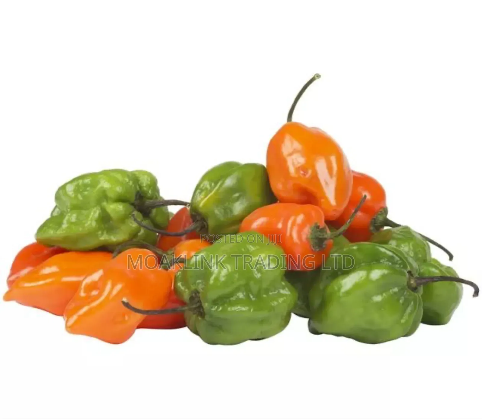 Green Pepper (Kpakposhito)