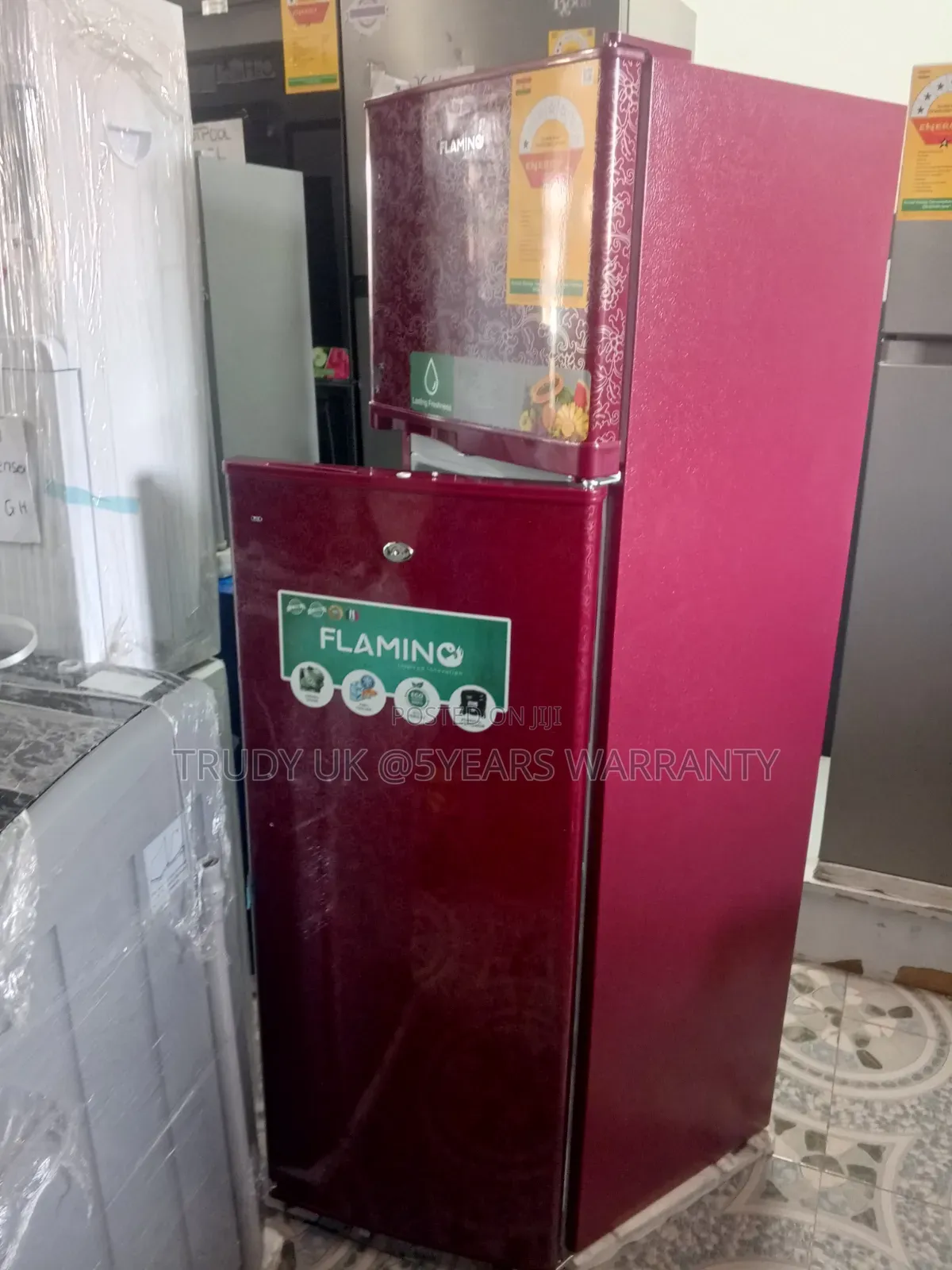 Flamino 166l Refrigerator – Compact Size, Maximum Freshness