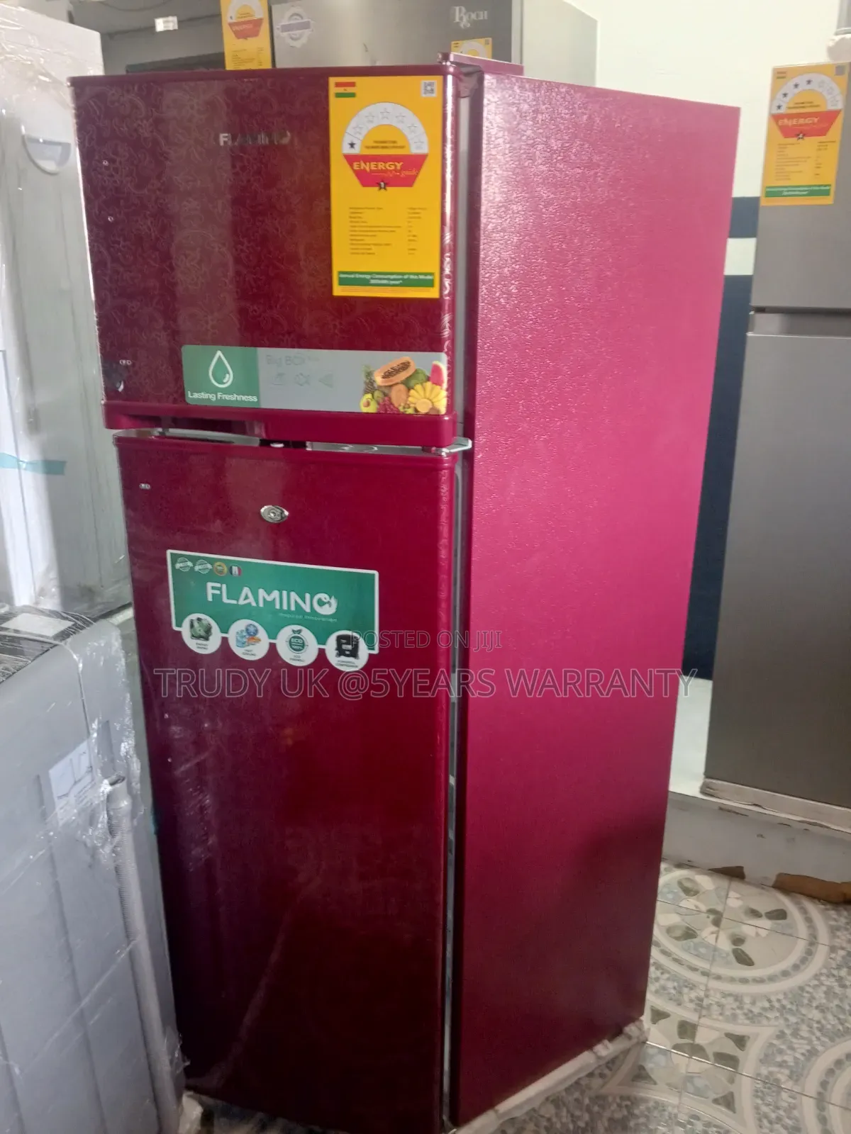 Modern Flamino 166l Fridge – Style Meets Functionality