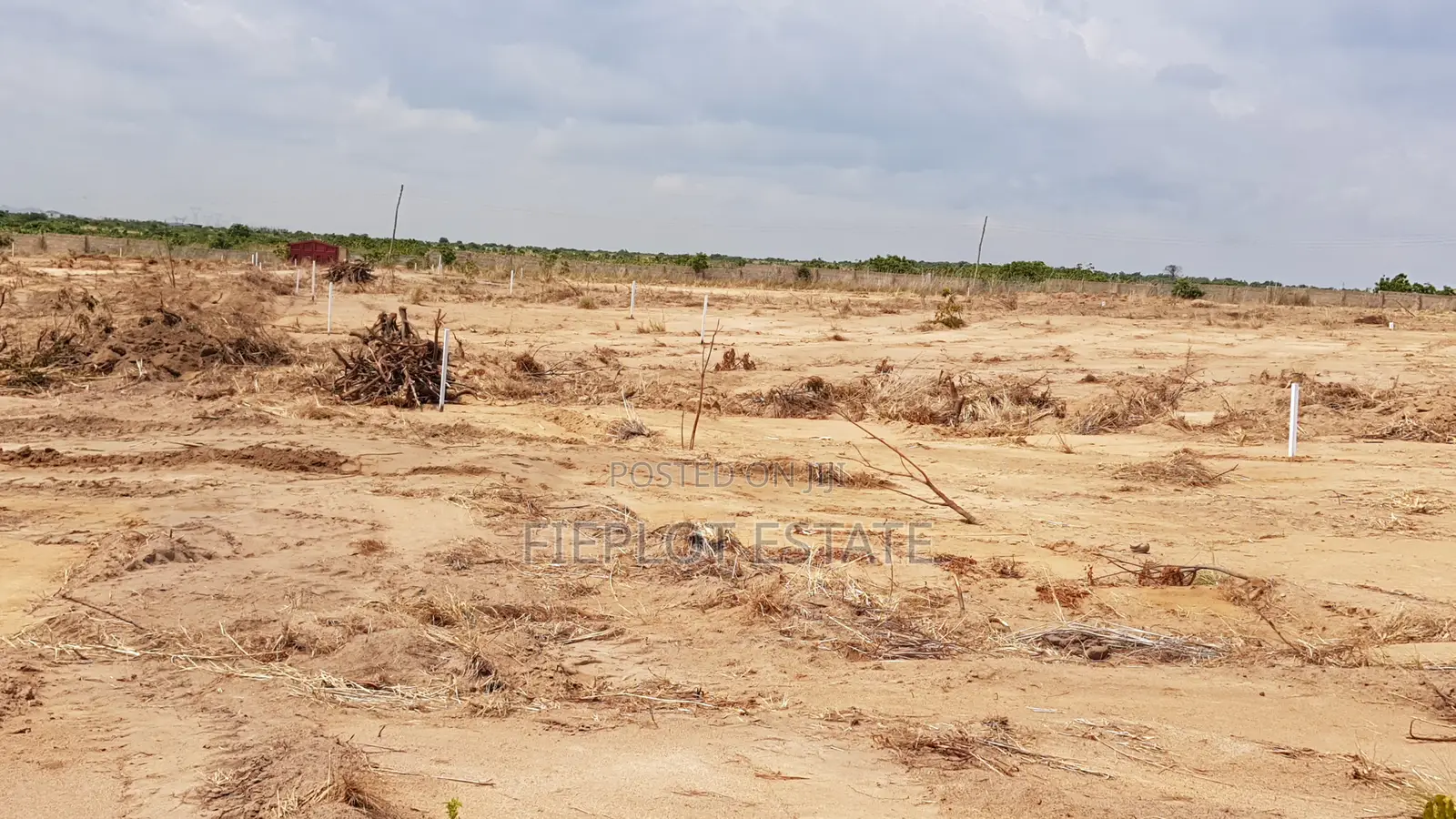 Litigation-Free Lands at Tsopoli, Skyport City