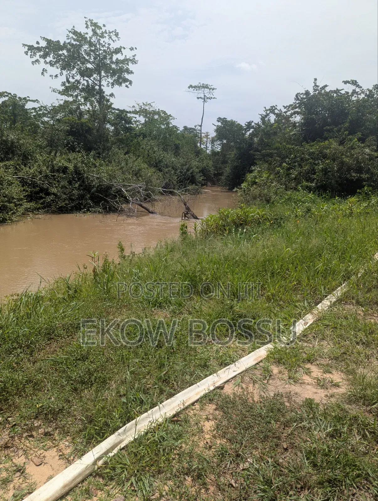 Farm Lands Available