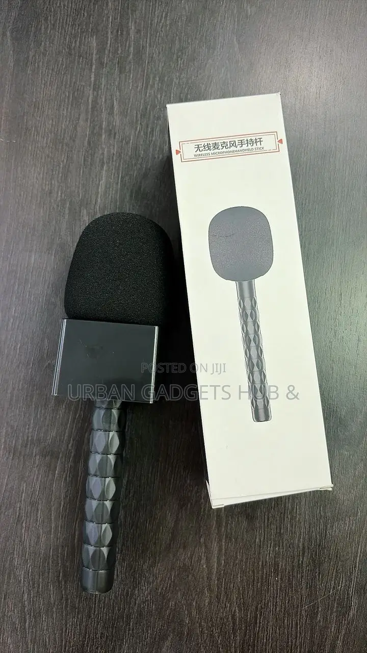 Hand-Held Microphone Stick