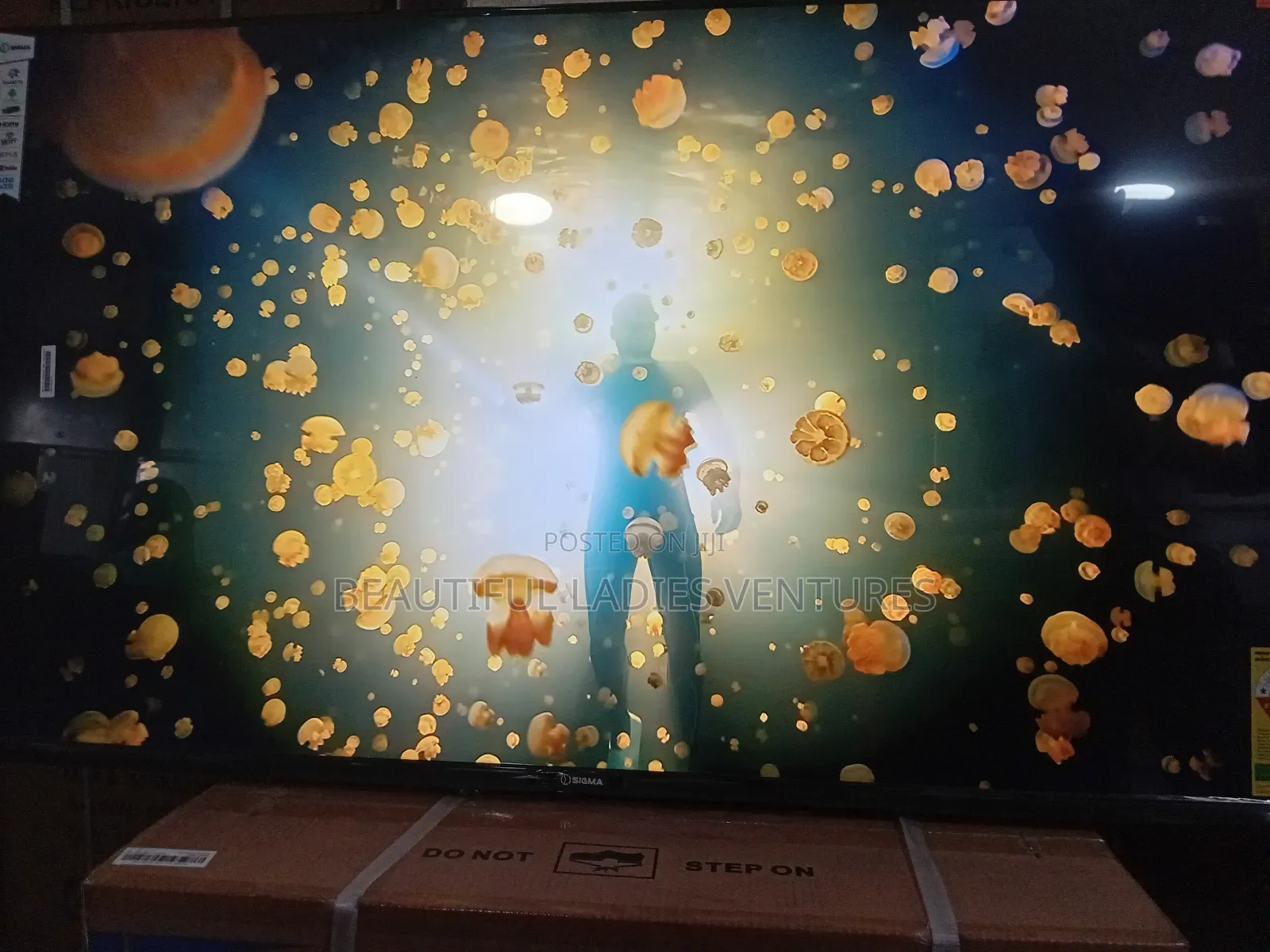 Sigma 55” Led Tv – Clear Sound Stunning Visuals