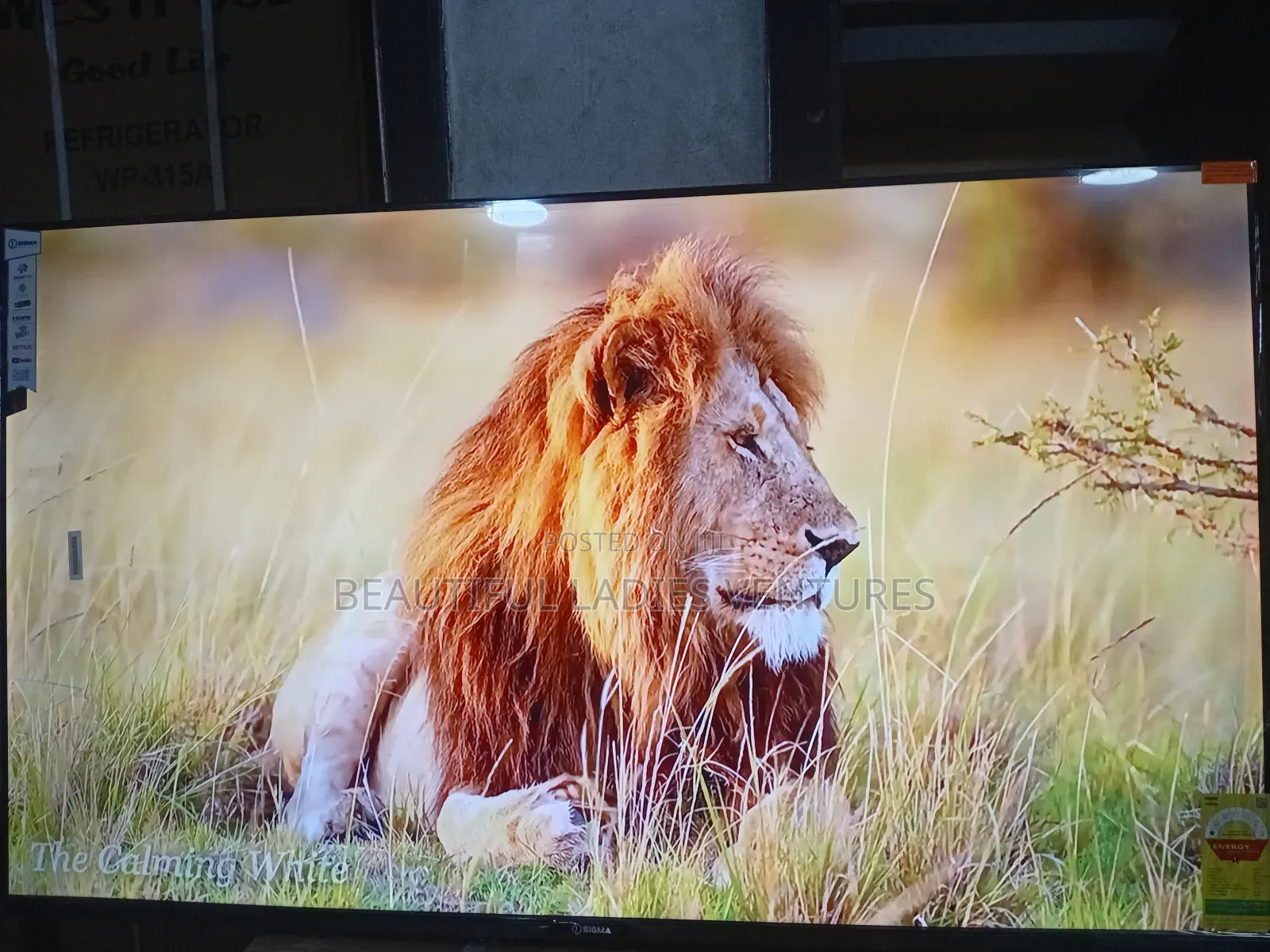 Sigma 55” Smart Led Tv – Next-Level Viewing