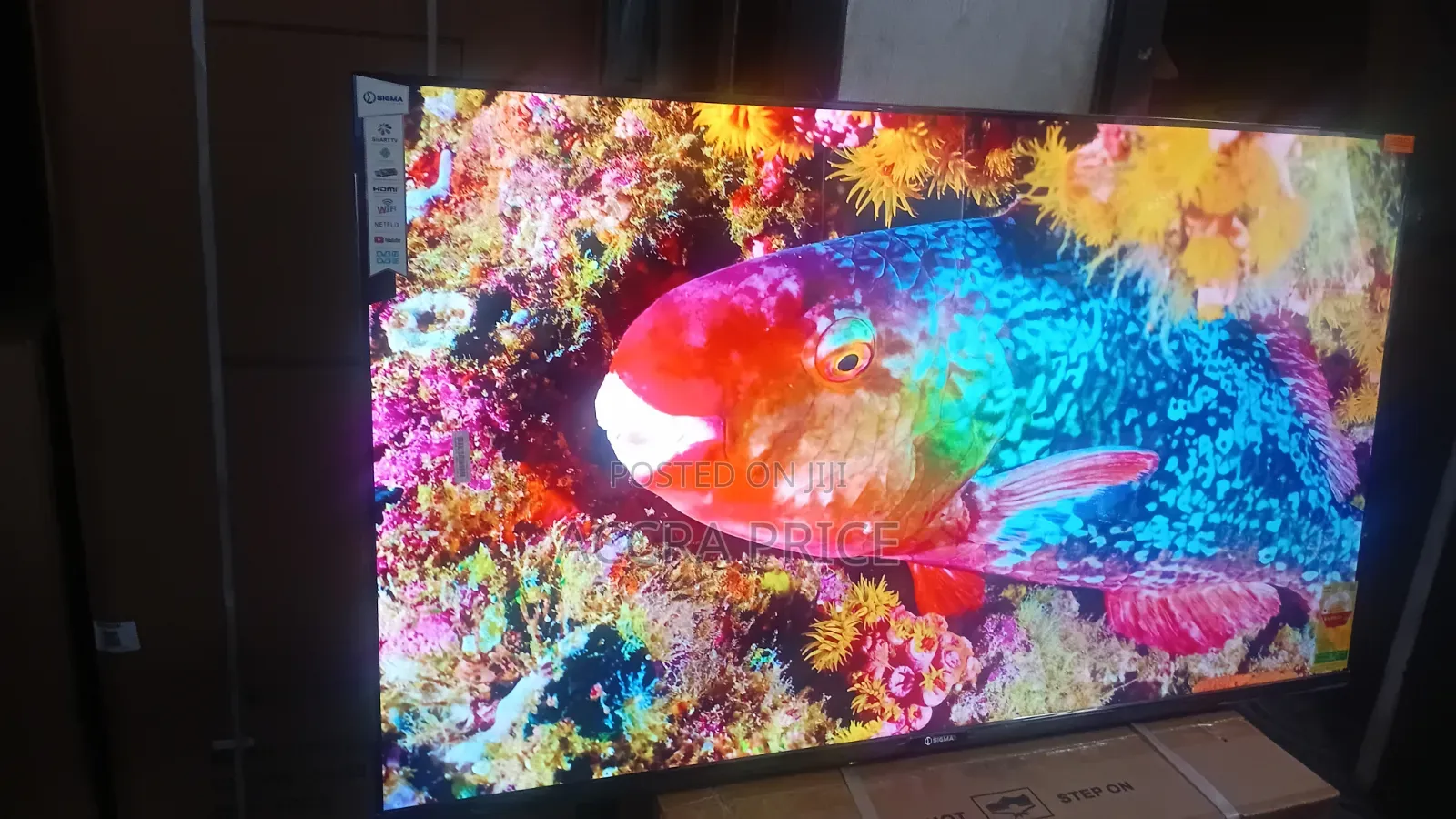 Adonai Visions Television Sigma 55inches Television