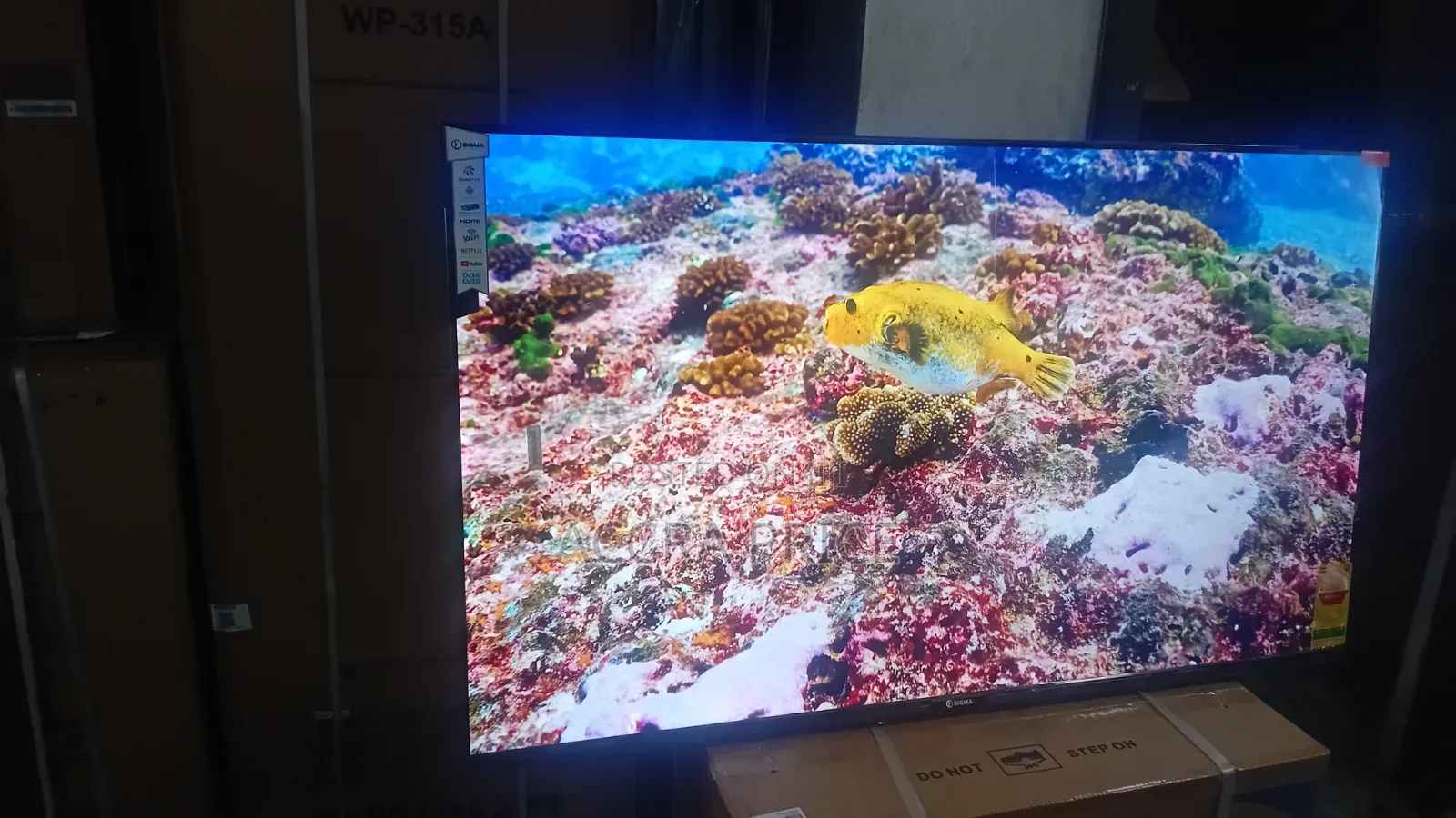 Adonai Visions Television Sigma 55inches Television