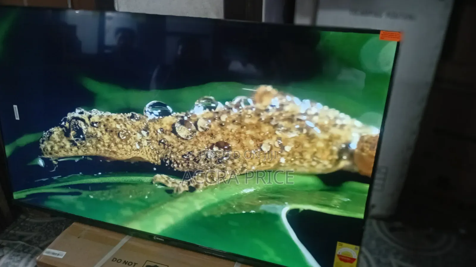 Scientific Vividity Televisions Sigma 55inches Televisions