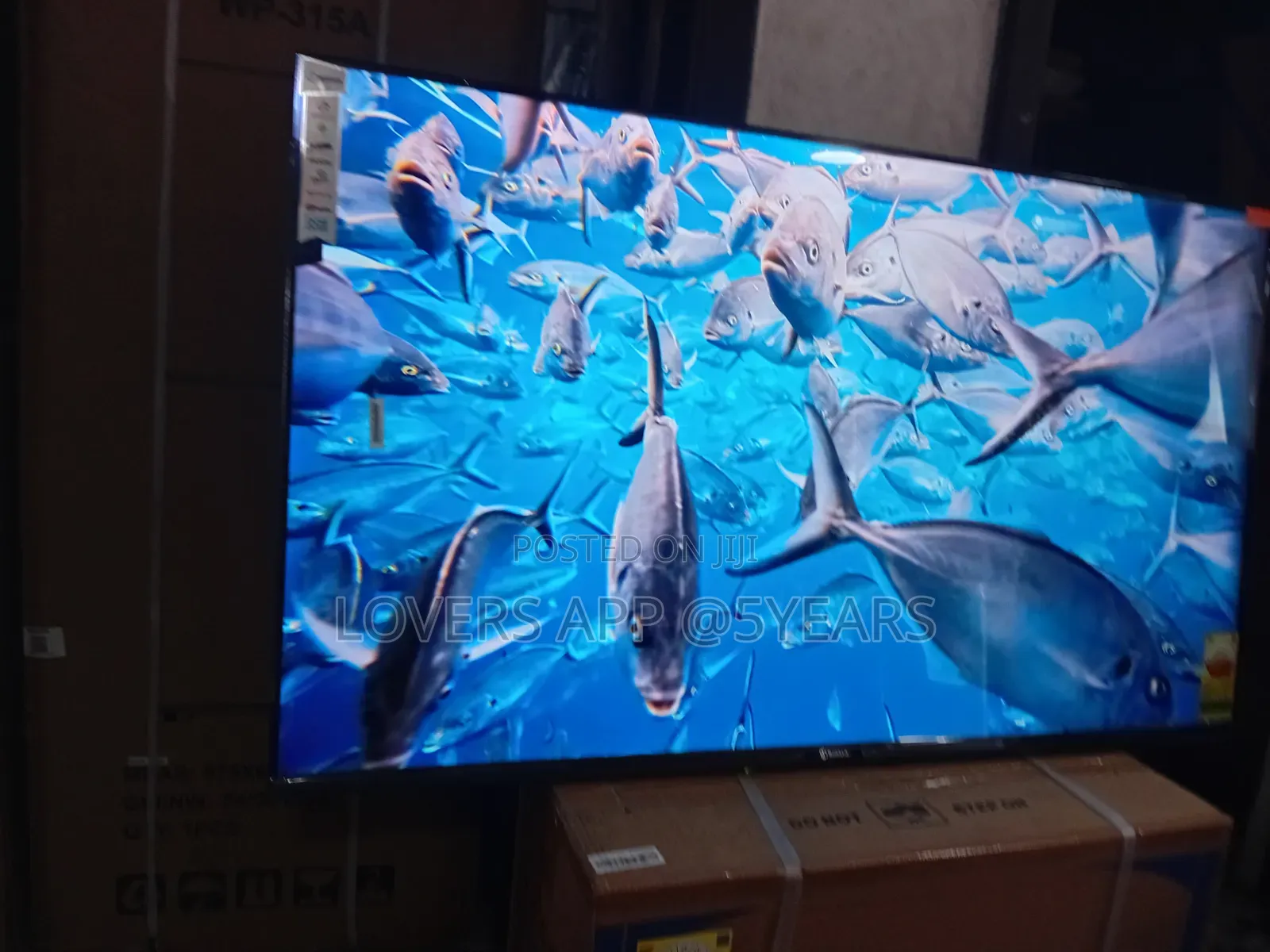 55" Sigma Qled Smart Android Frameless Satellite Tv.