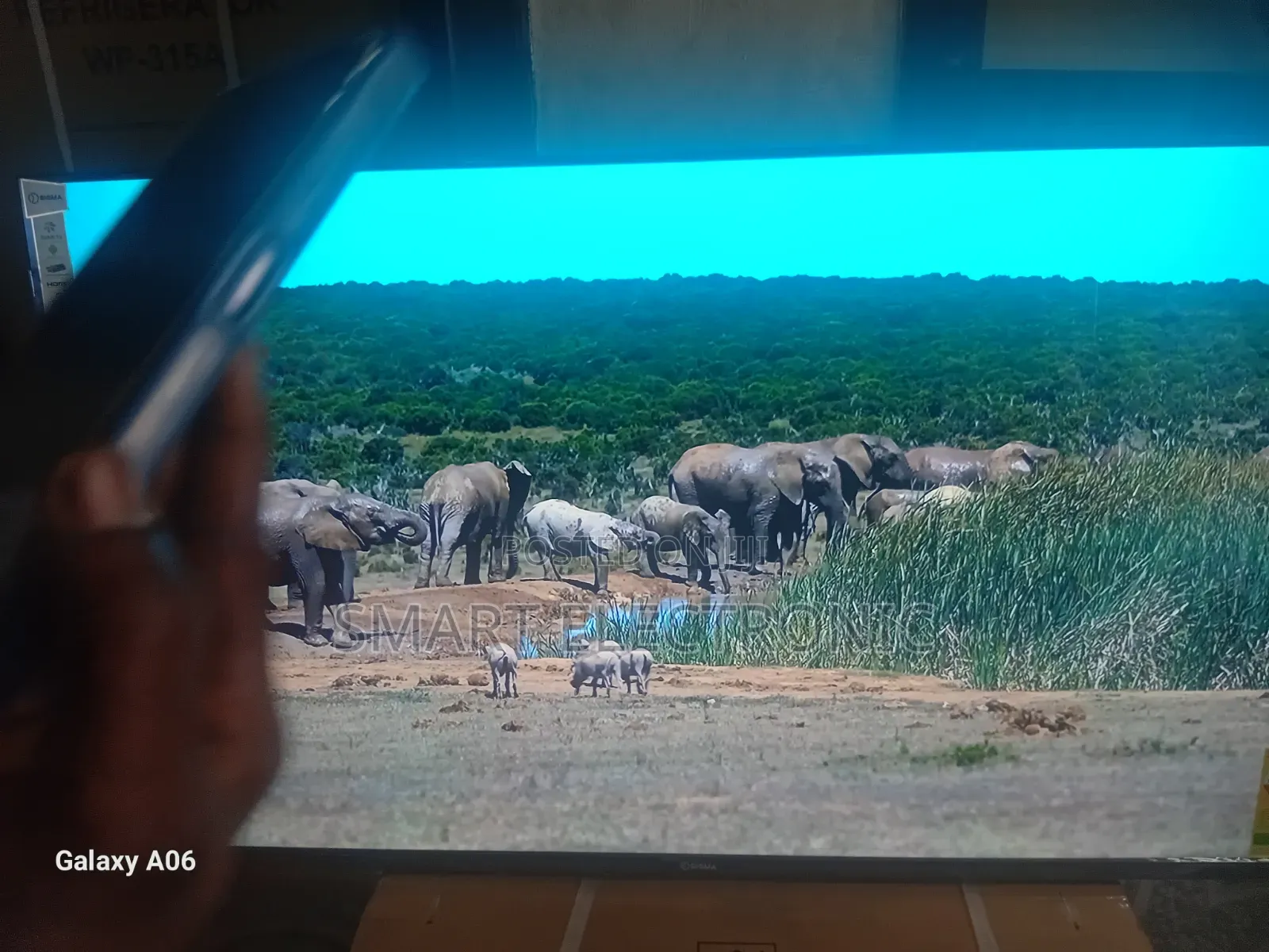 Sigma 55" Smart Tv – Entertainment in Full Glory
