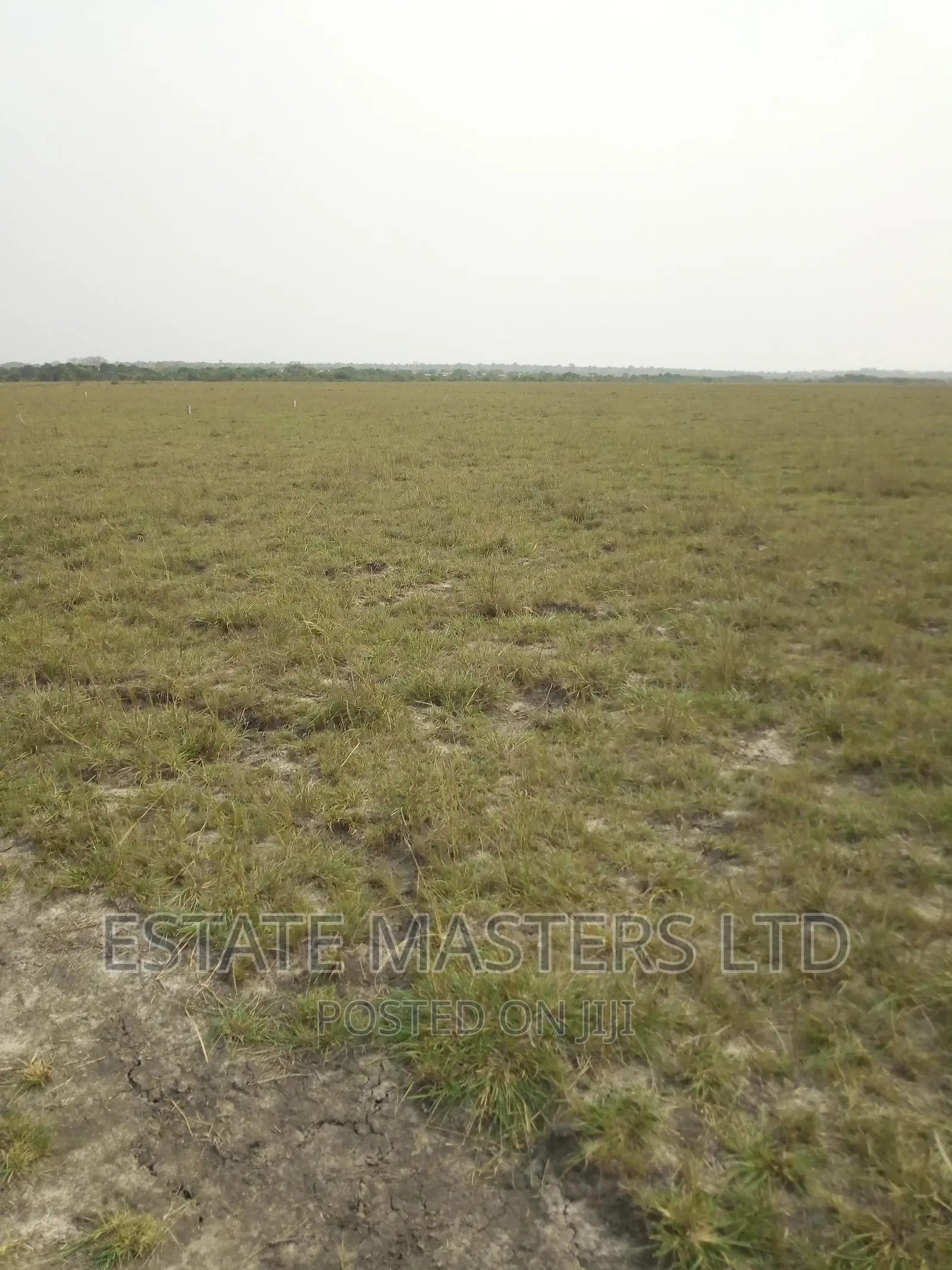 Secure Your Estate Plots Now