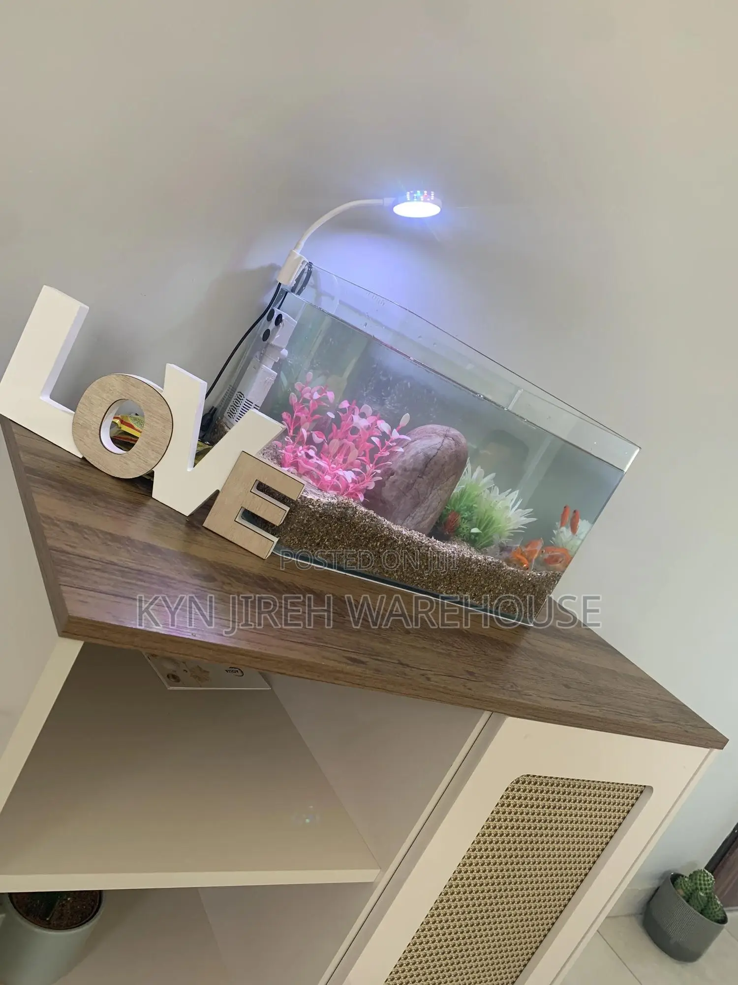 Tetra Tabletop Aquarium With 10 Tetras Fishes