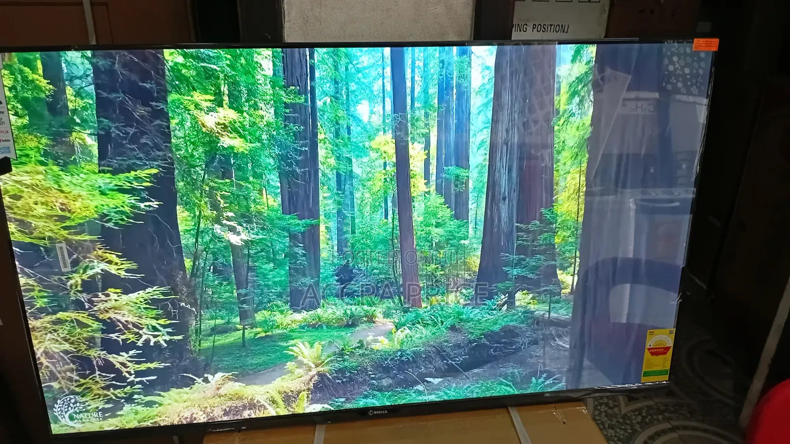 Brand New Sigma 55” Smart Television – Premium Viewing Experience