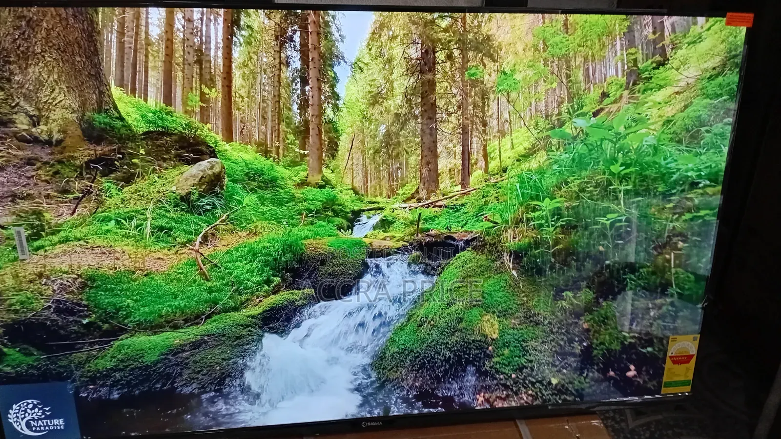 Sigma 55 Inches Smart Led Tv – Sharp Picture Smart Access