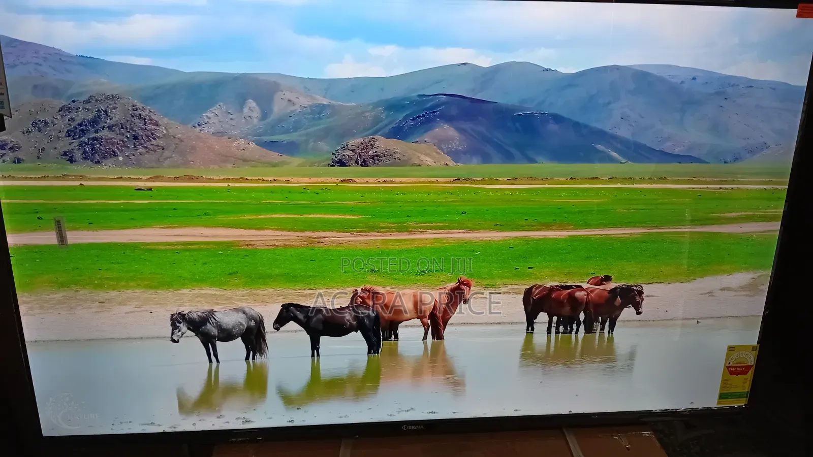 Sigma 55-Inch Smart Television – Modern Design Smart Viewing