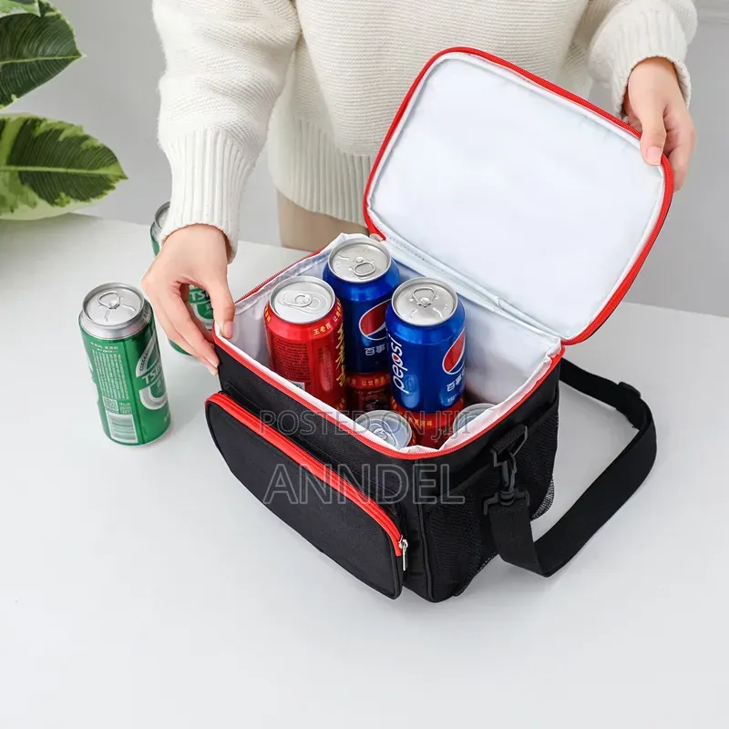 Insulated Lunch Bag