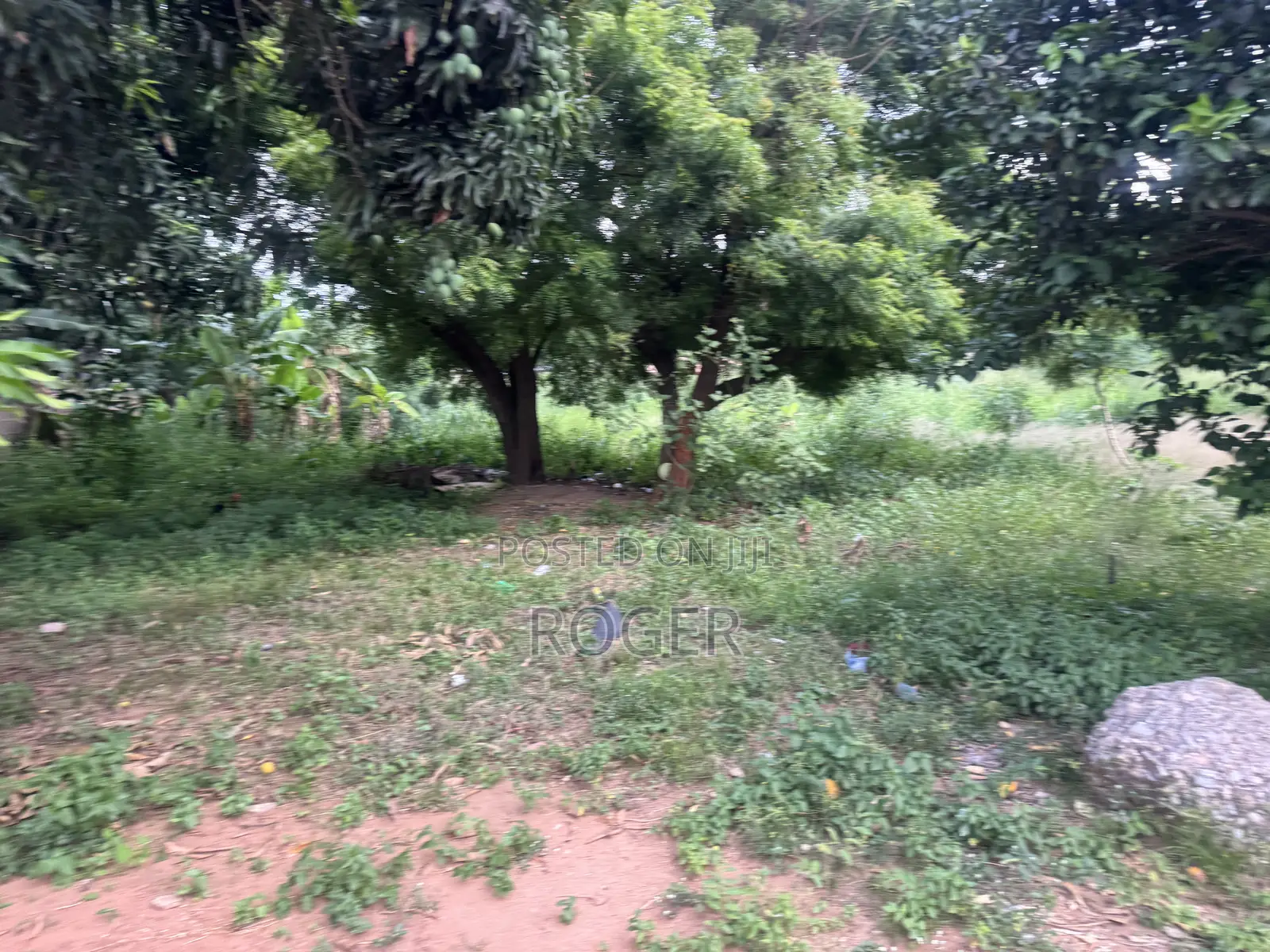 3 Plots of Land for Sale at Lomnava
