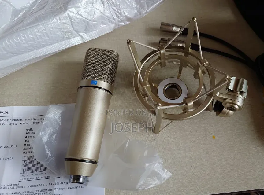 U87 Recording Microphone