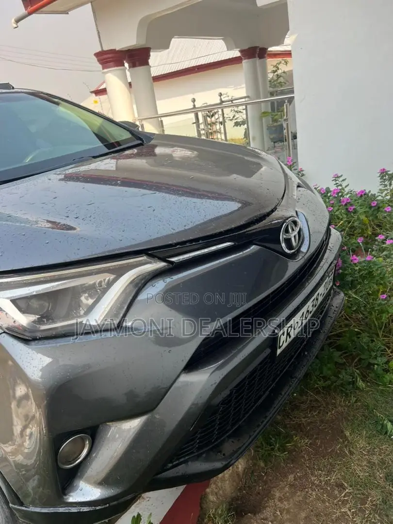 Toyota RAV4 2015 Gray