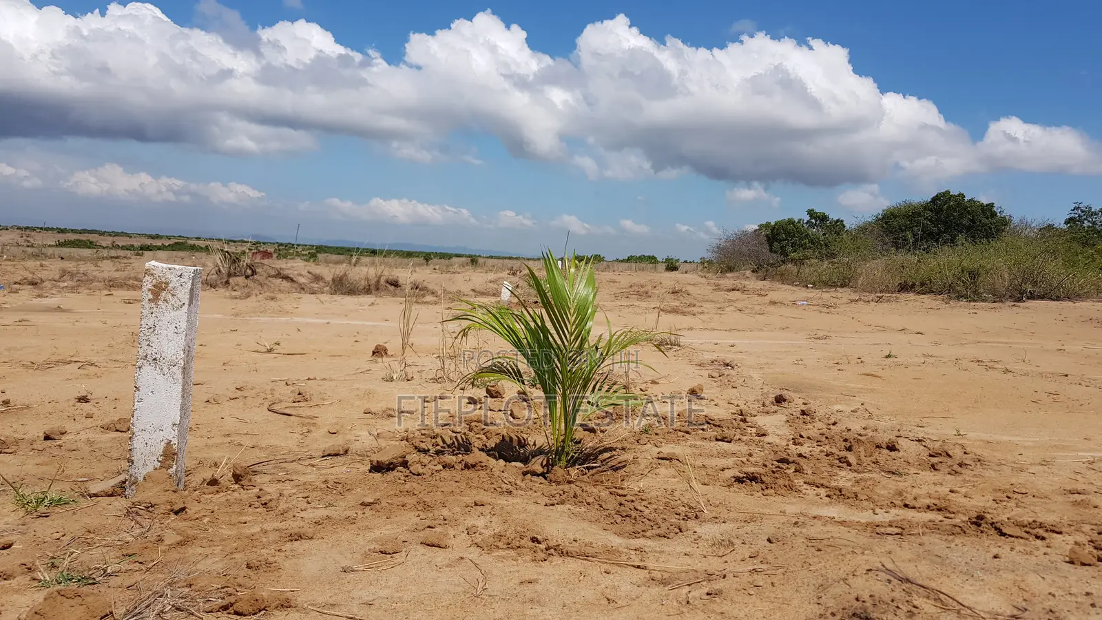 Trusted Half Plot Land Sale at Tsopoli – Transparent and Hassle-Free