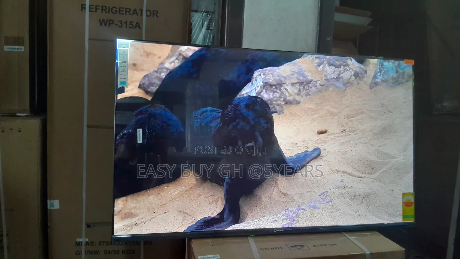 :
Sigma 55” Uhd Tv – Multiple Ports Smart Access