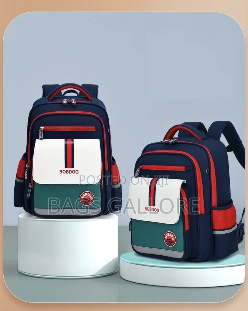 Nice School Bag