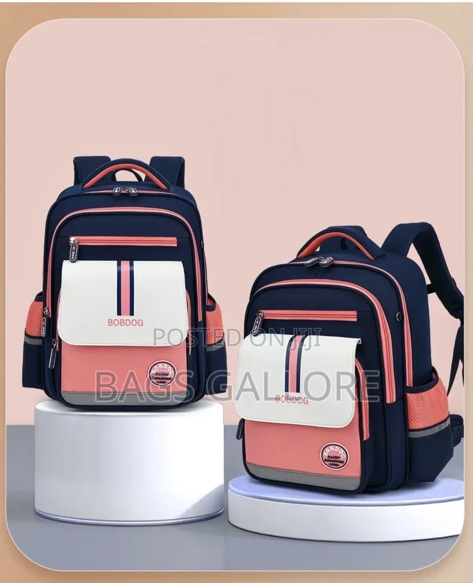 Nice School Bag