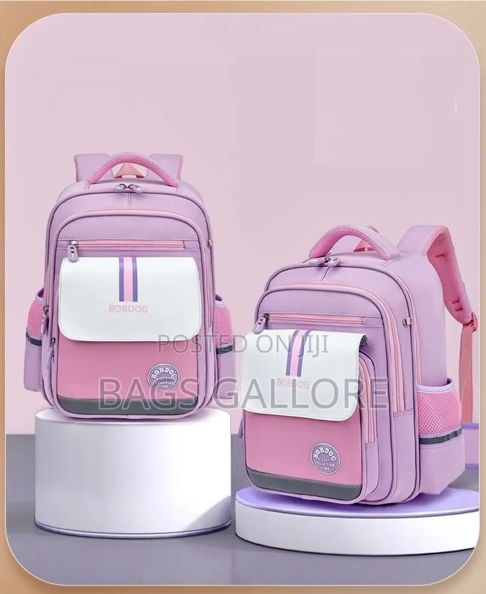Nice School Bag