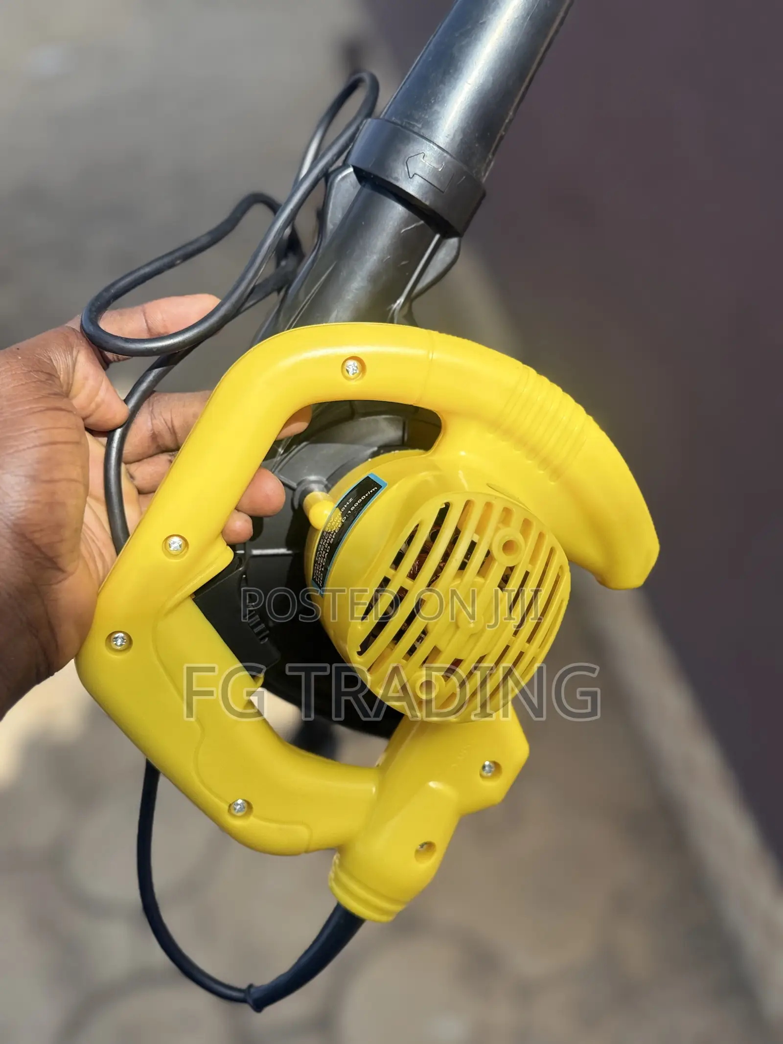 Electric Blower _ Car Blower