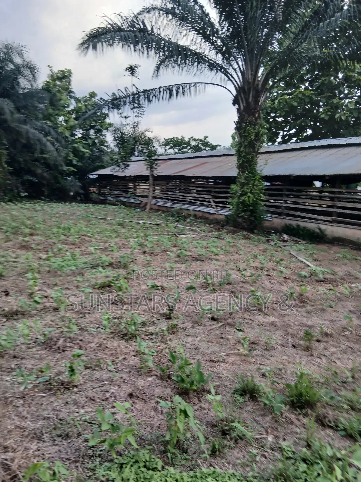 Land Available for Sale in Hohoe