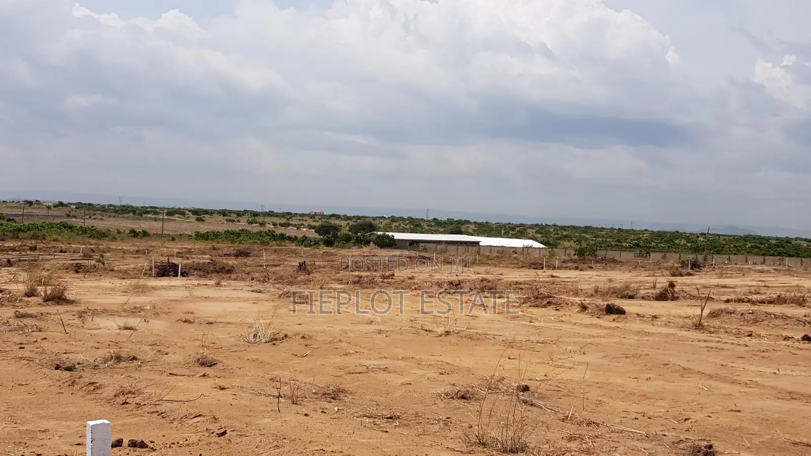 Smart Buyers Choose 70x100ft Plots at Tsopoli Skypot City