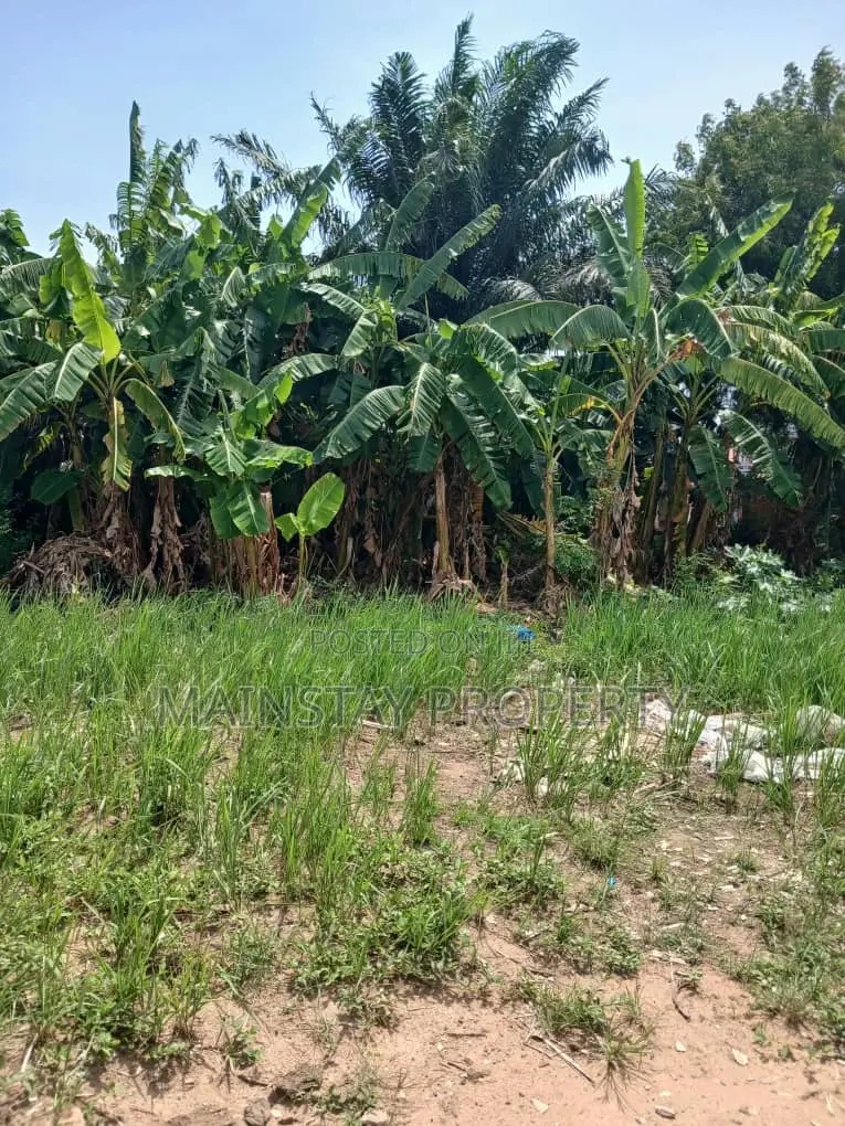 Land for Sale at Dansoman