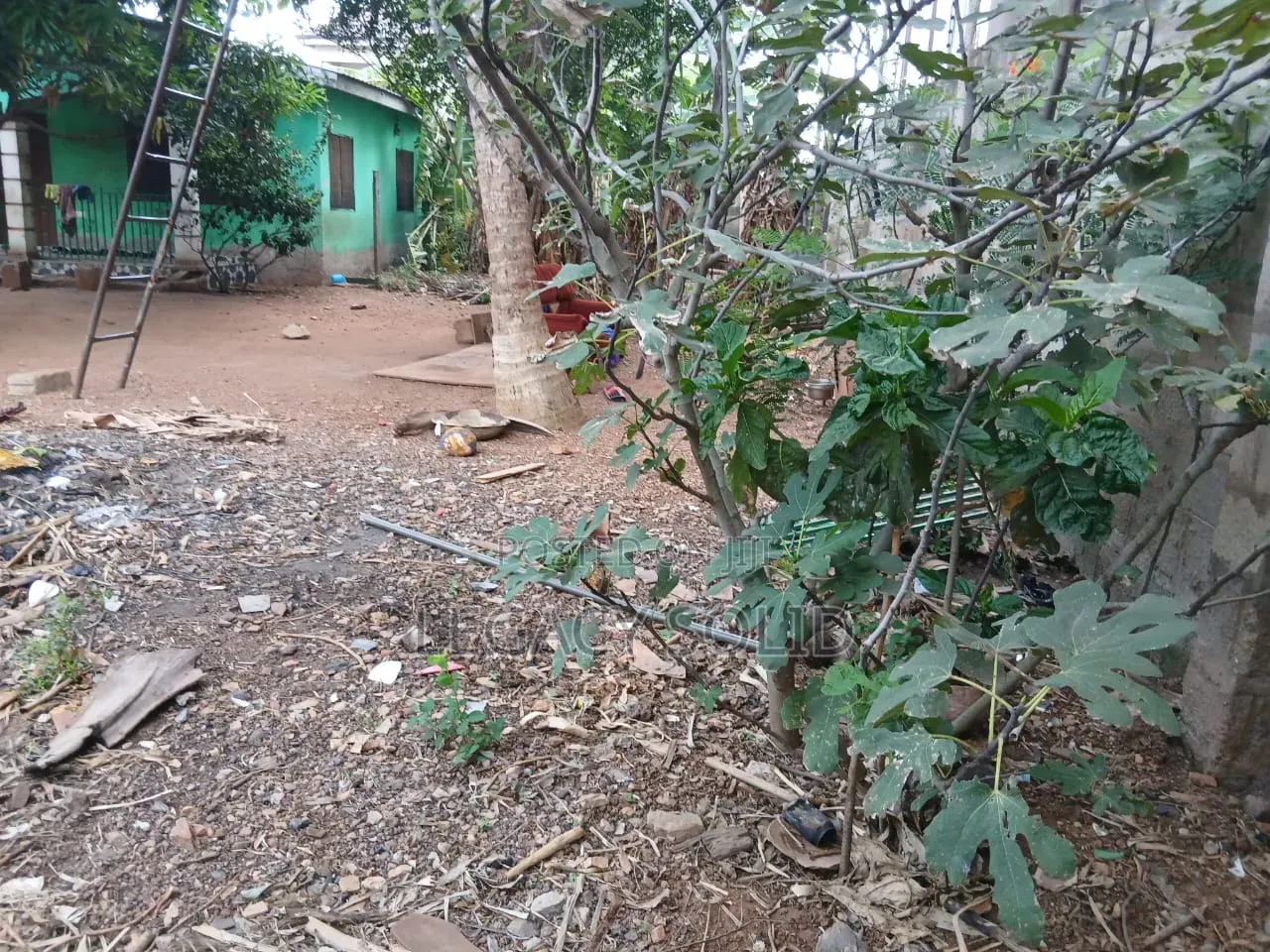 Geninue 1 Plot of Land for Sale