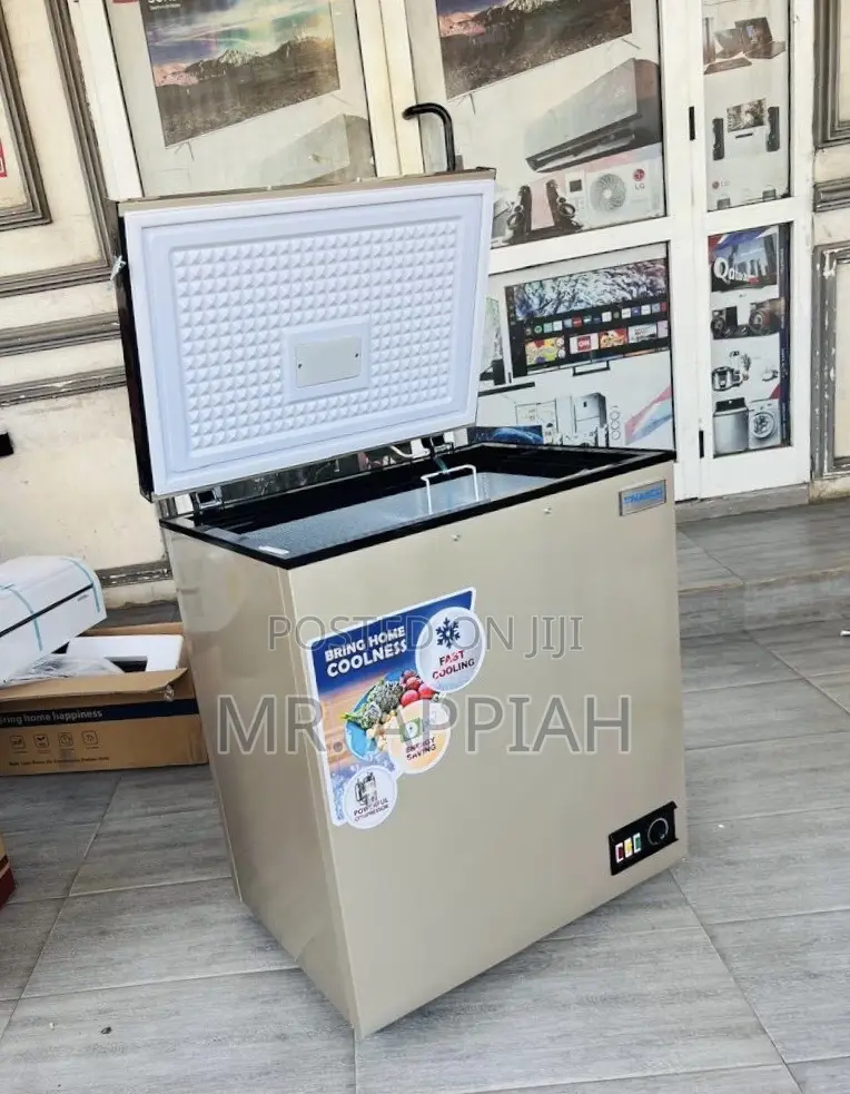 Shop Durable Nasco 138l Electric Chest Freezer(Nas-175fl)Gold 