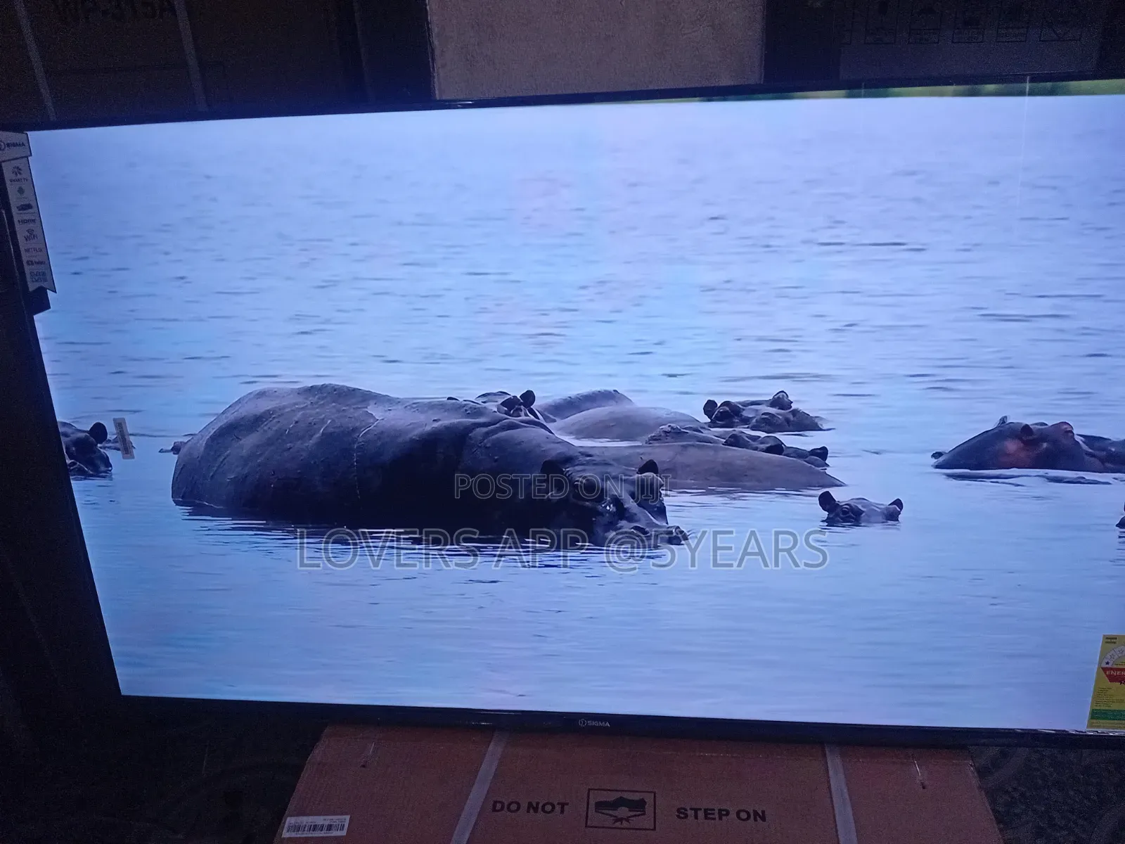55" Sigma Sweet Spot Led Tv.
