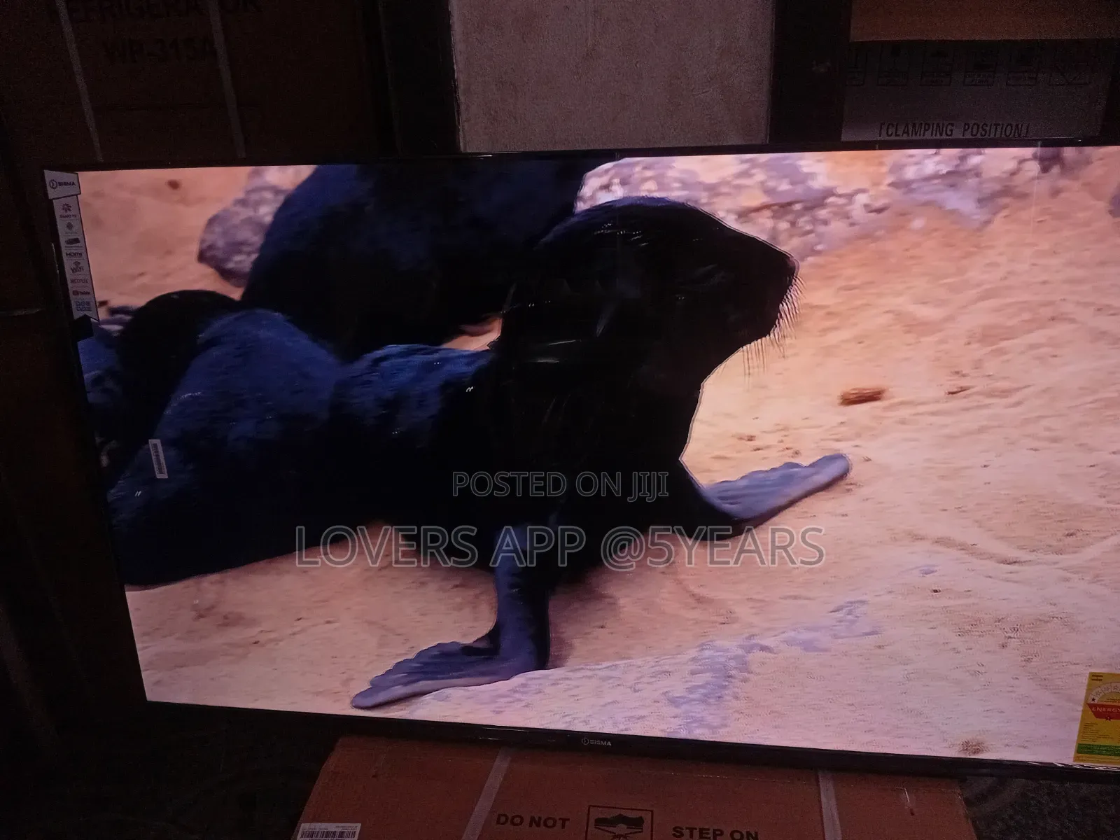 55" Sigma Sweet Spot Led Tv.