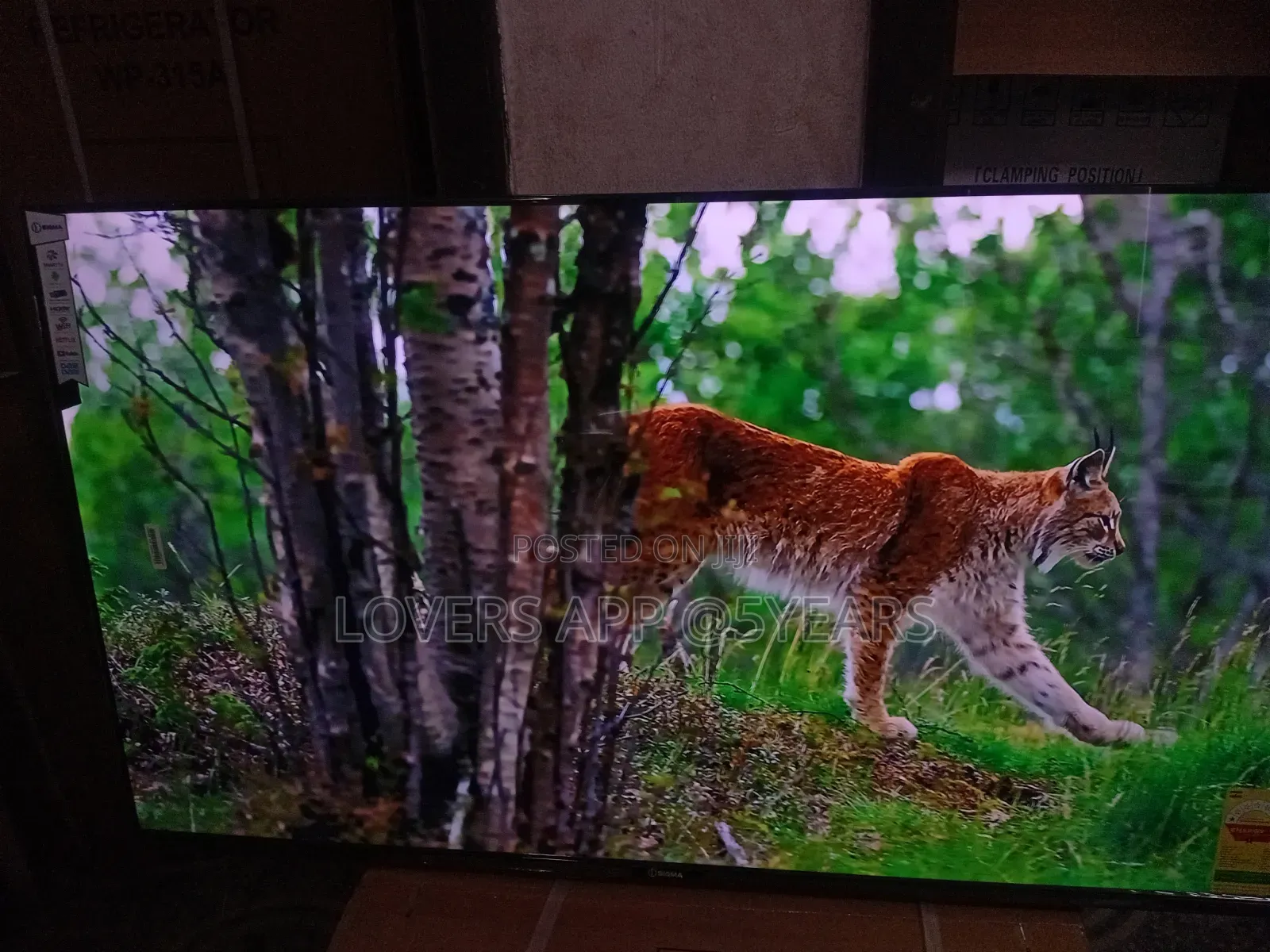 Sigma 55" Lovin ' Led Smart Tv.