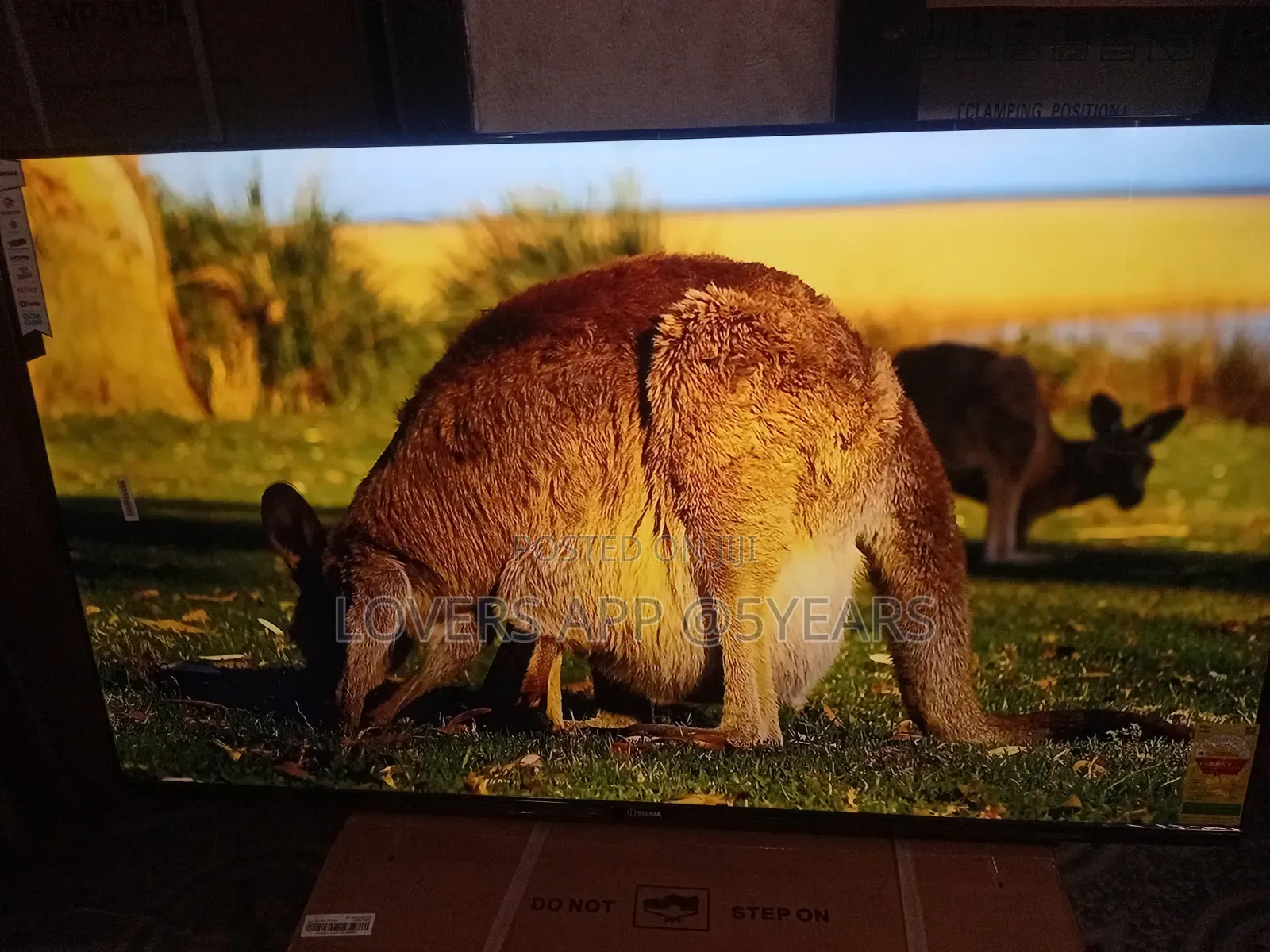 55" Sigma Darling Frameless Led Tv.