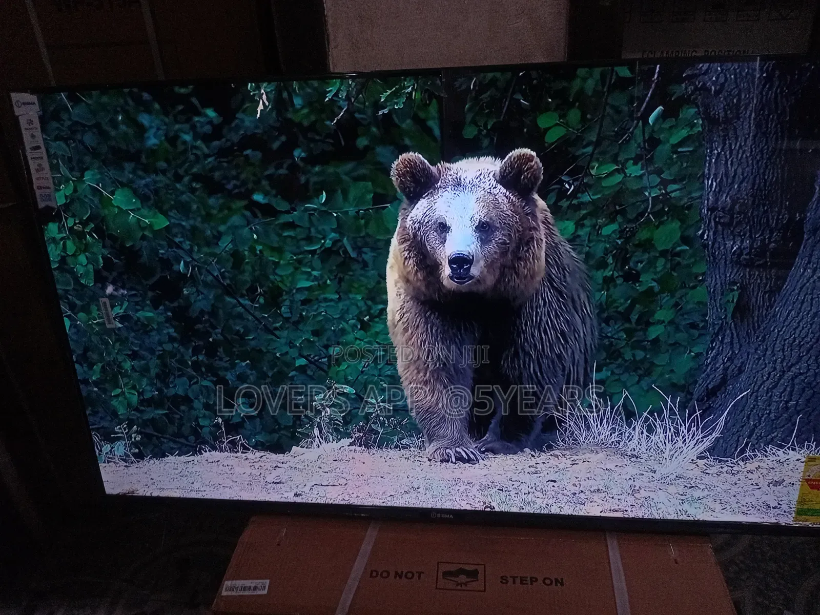 Sigma 55 " Led Tv, Astonishing Value