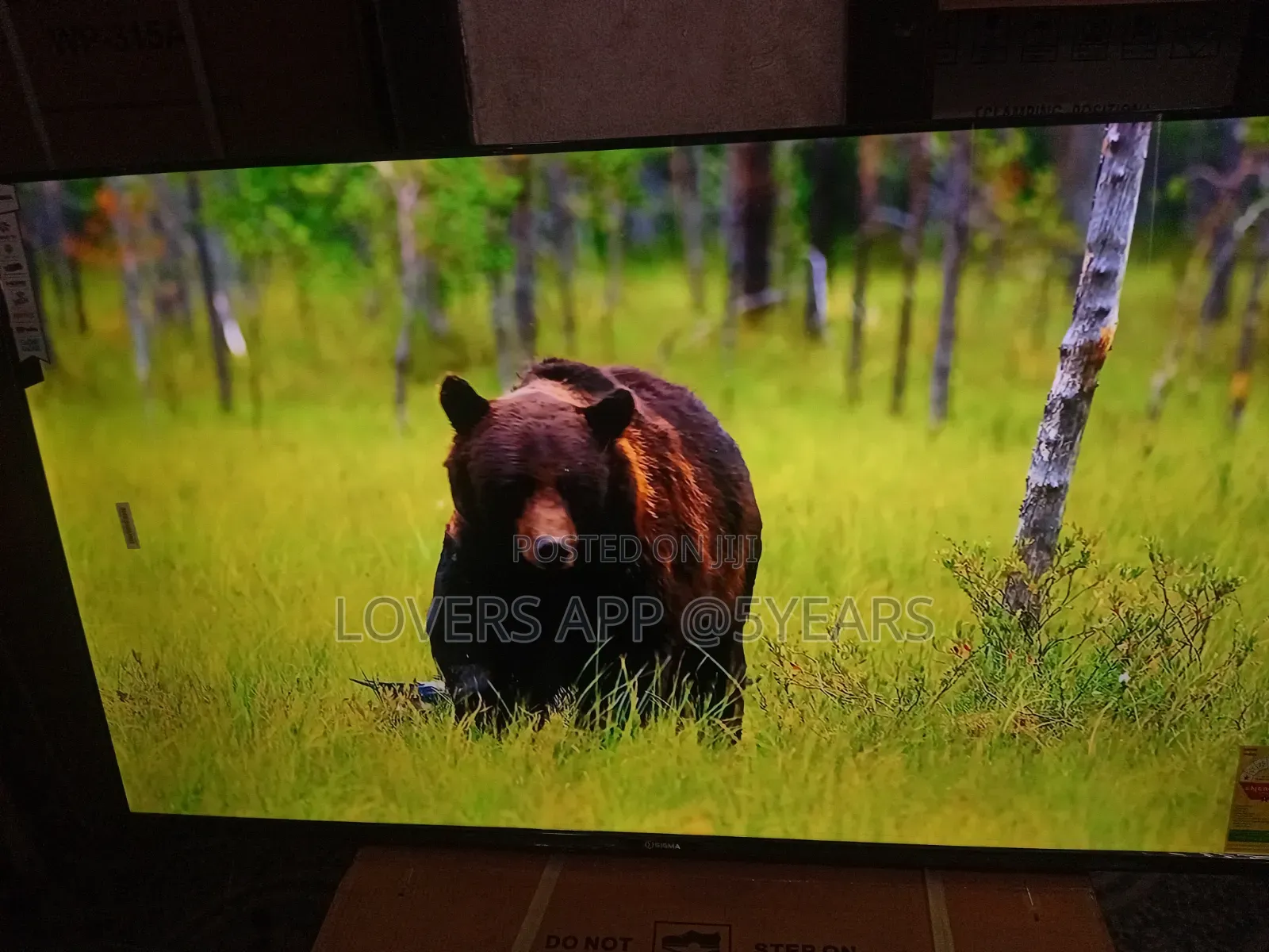 Sigma 55" Led Tv, Breathtaking Quality.